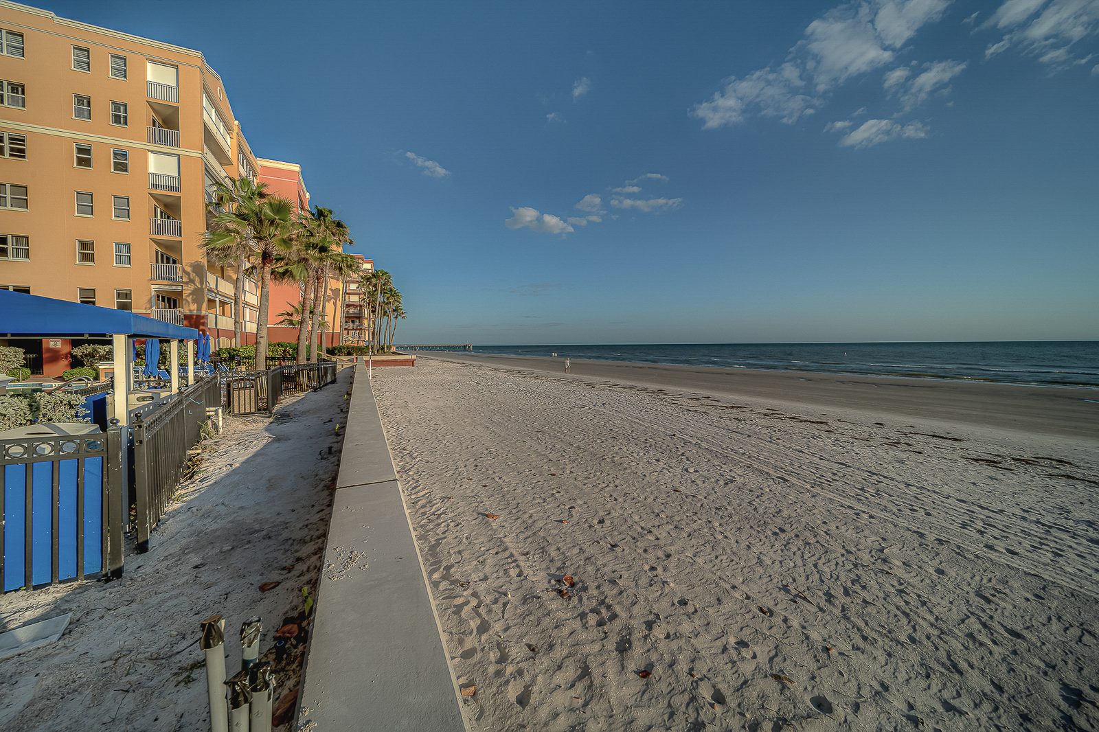 Beach walkway lined with palm trees